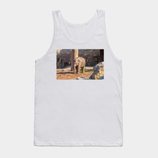 Baby Asian Elephant Tank Top